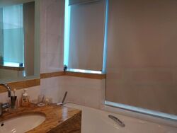 The Light @ Cairnhill (D9), Condominium #477310391